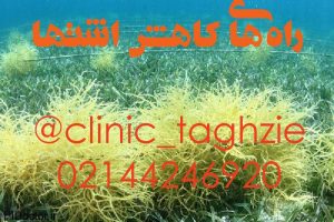 راه های کاهش اشتها