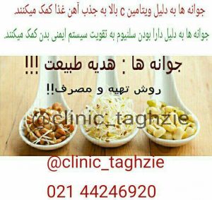 چگونه جوانه درست کنیم