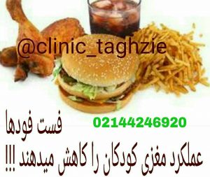 فست فودها و غذاهای چرب یادگیری کودکان را کاهش می دهد
