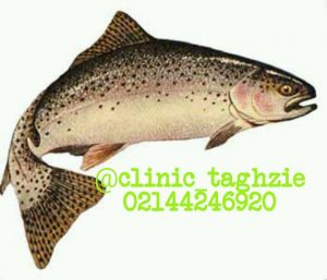 مواد غذایی که باعث افزایش تمرکز میشود