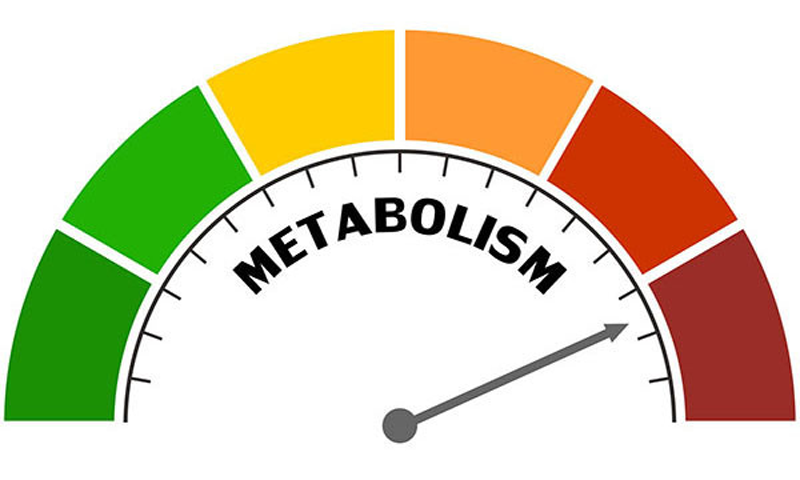 چگونه با بالا بردن متابولیسم پایه استاپ وزنی و بازگشت وزن نداشته باشیم؟